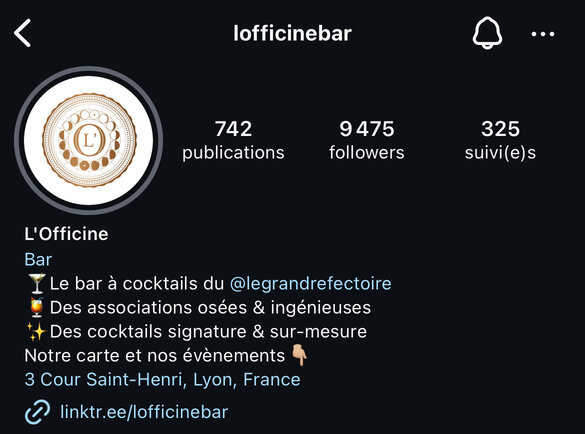 Exemple de bio insta optimisée